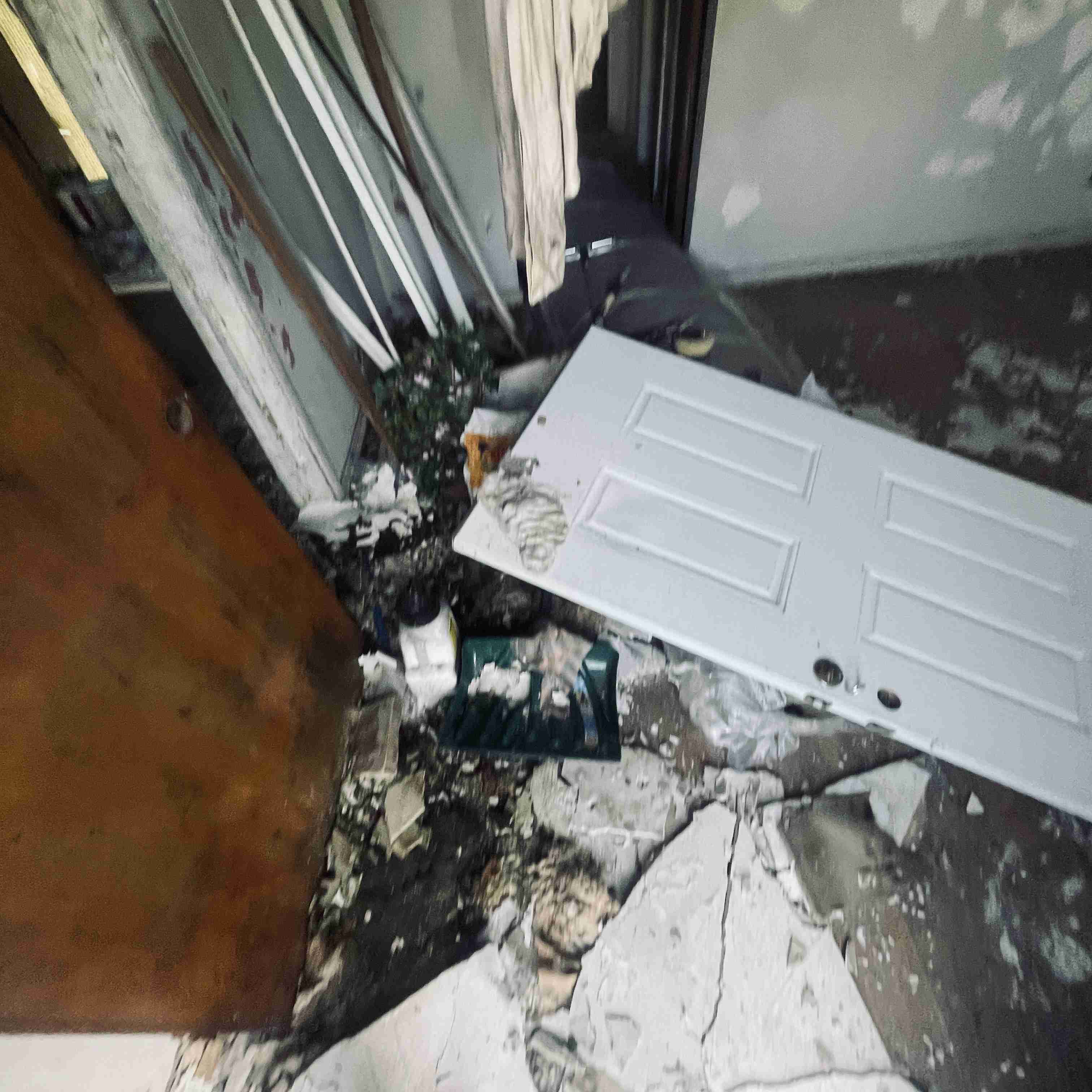 4277 TUXEDO (20).jpg